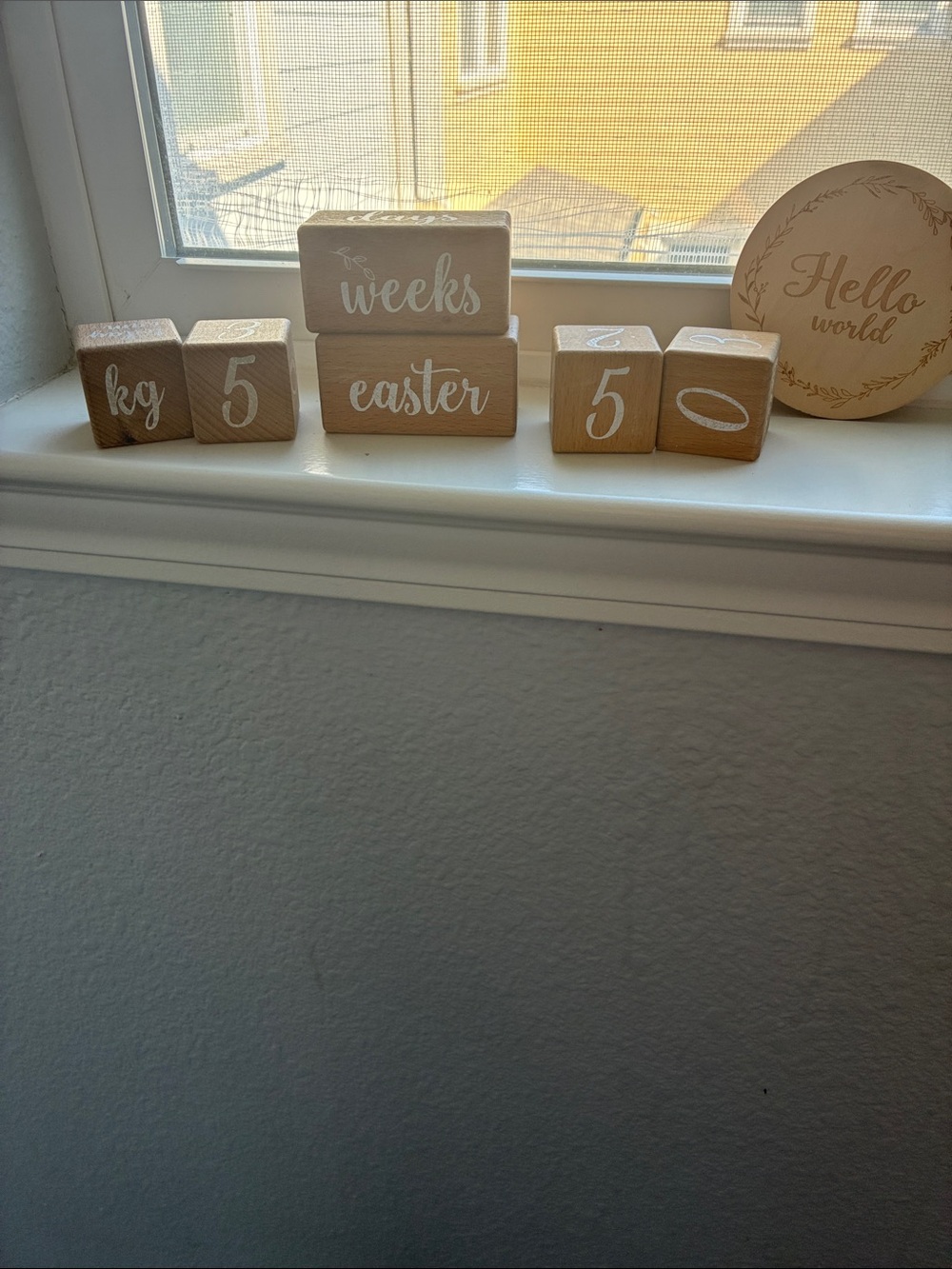 Wooden Baby Milestone Blocks - Natural Wood